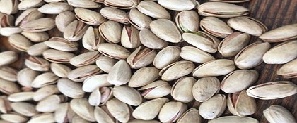 تصویر 1 از خرید پسته اکبری سیرجان + قیمت فروش استثنایی